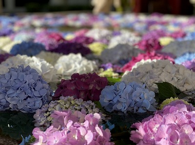 200618-2.jpg